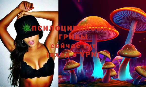 скорость Остров